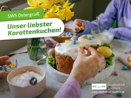 Bild von Rezept Karottenkuchen